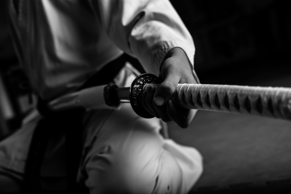 Main image of Qi Martial Fitness