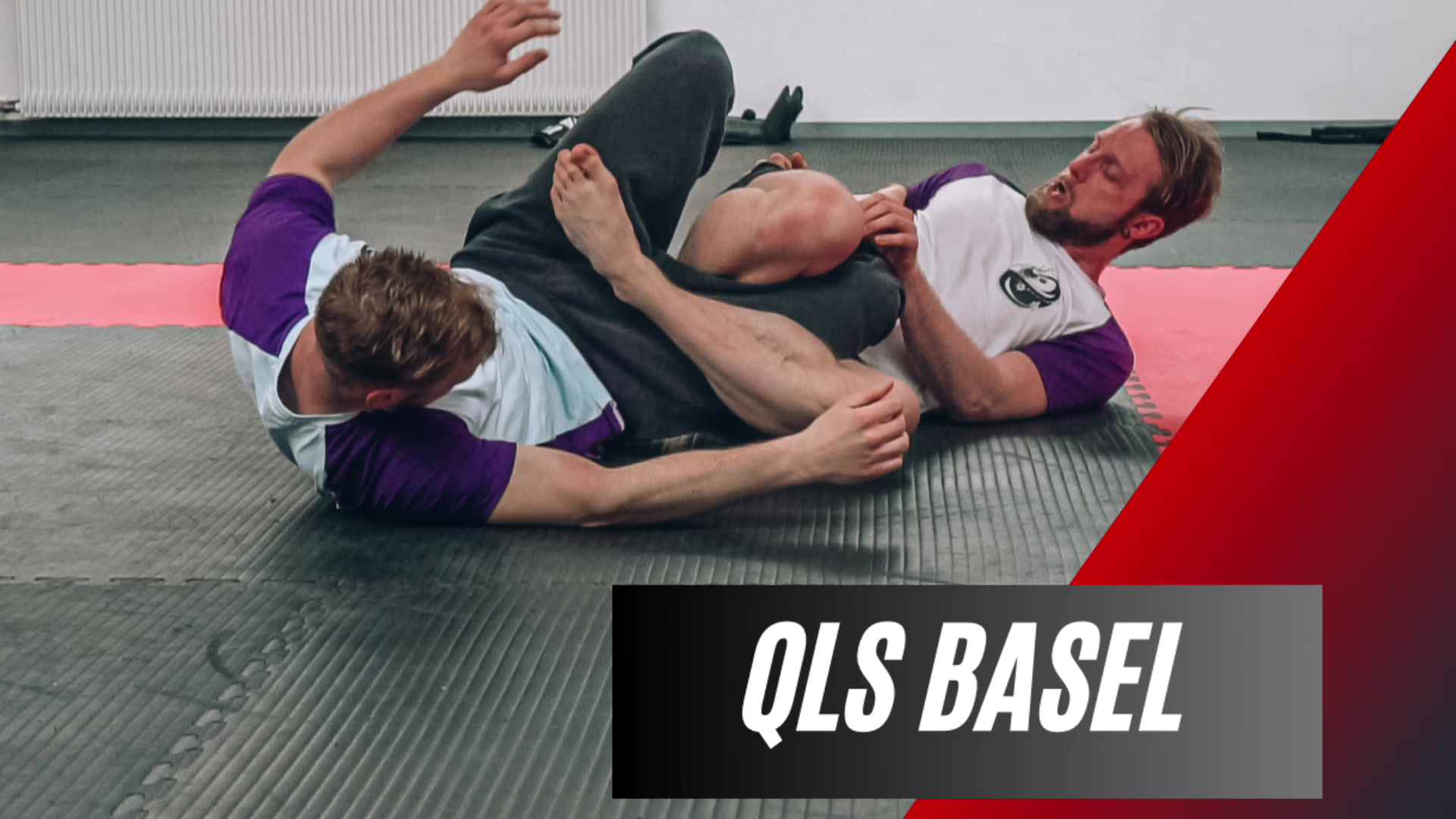 | QLS MMA | Kampfsport & Selbstverteidigung in Basel. Kung Fu, Boxing, Kickboxing, Sanda, Chin Na, Muay Thai, MMA, Grappling academy image
