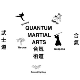 Main image of Quantum Martial Arts