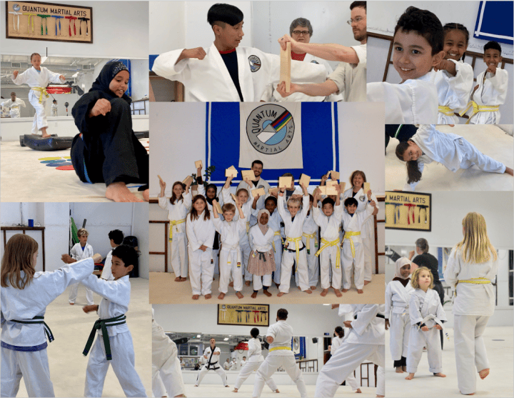 Main image of Quantum Martial Arts