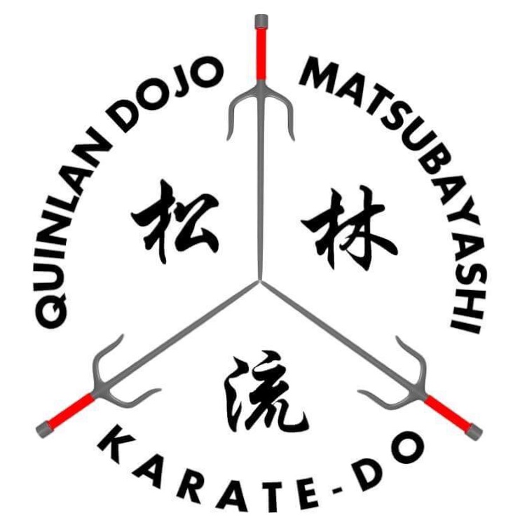 Main image of Quinlan Karate