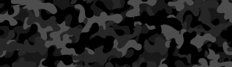 Main image of RAISE THE BLACK