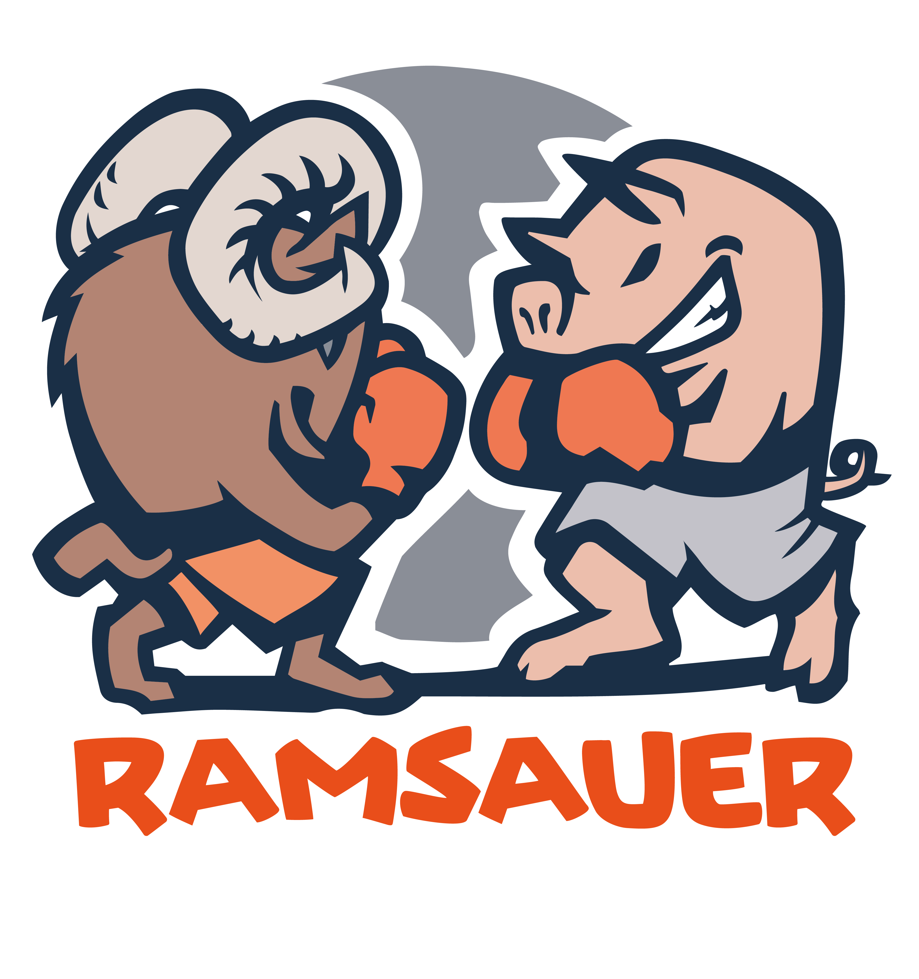Main image of Ramsauer Boxing