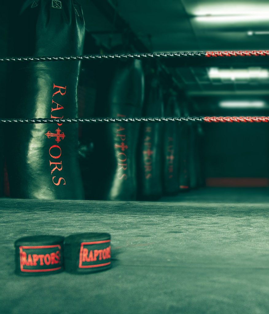 Main image of Raptors Muay Thai and Fitness