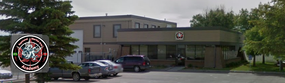 Main image of Raymond Martial Arts Academy
