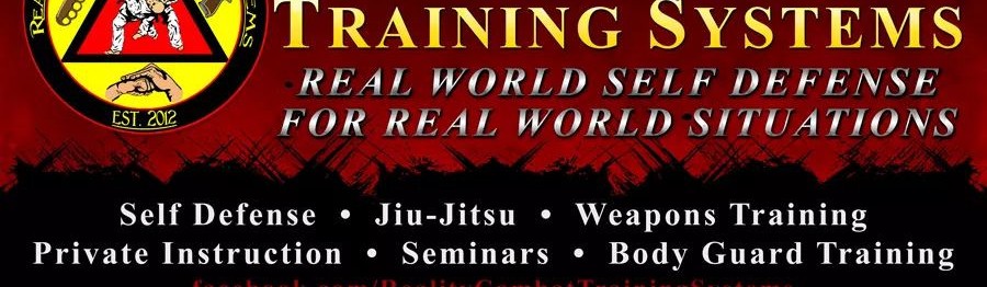 Main image of Reality Combat Training Systems (RCTS)