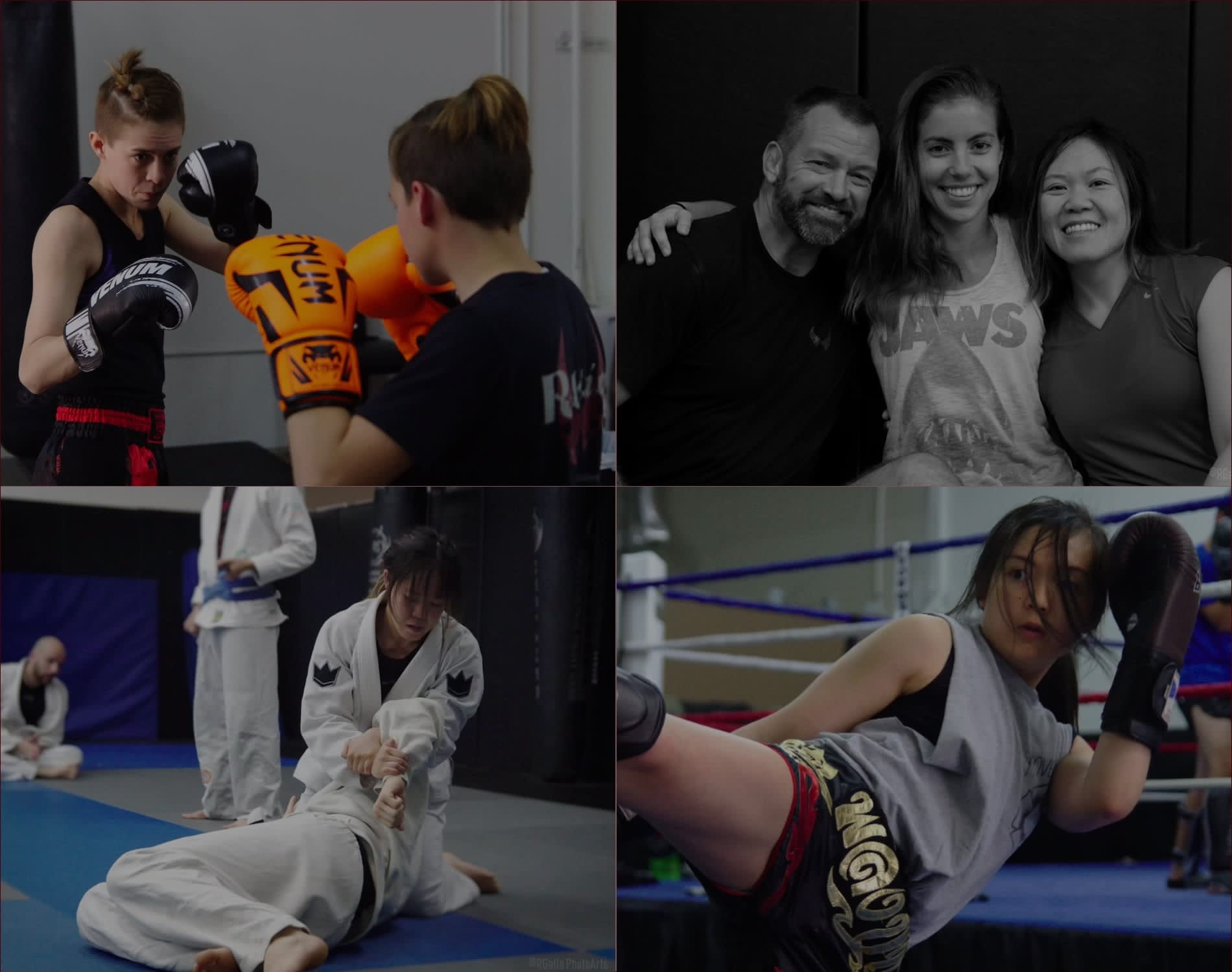 Rebellion MMA (Muay Thai, Boxing, BJJ) academy photo