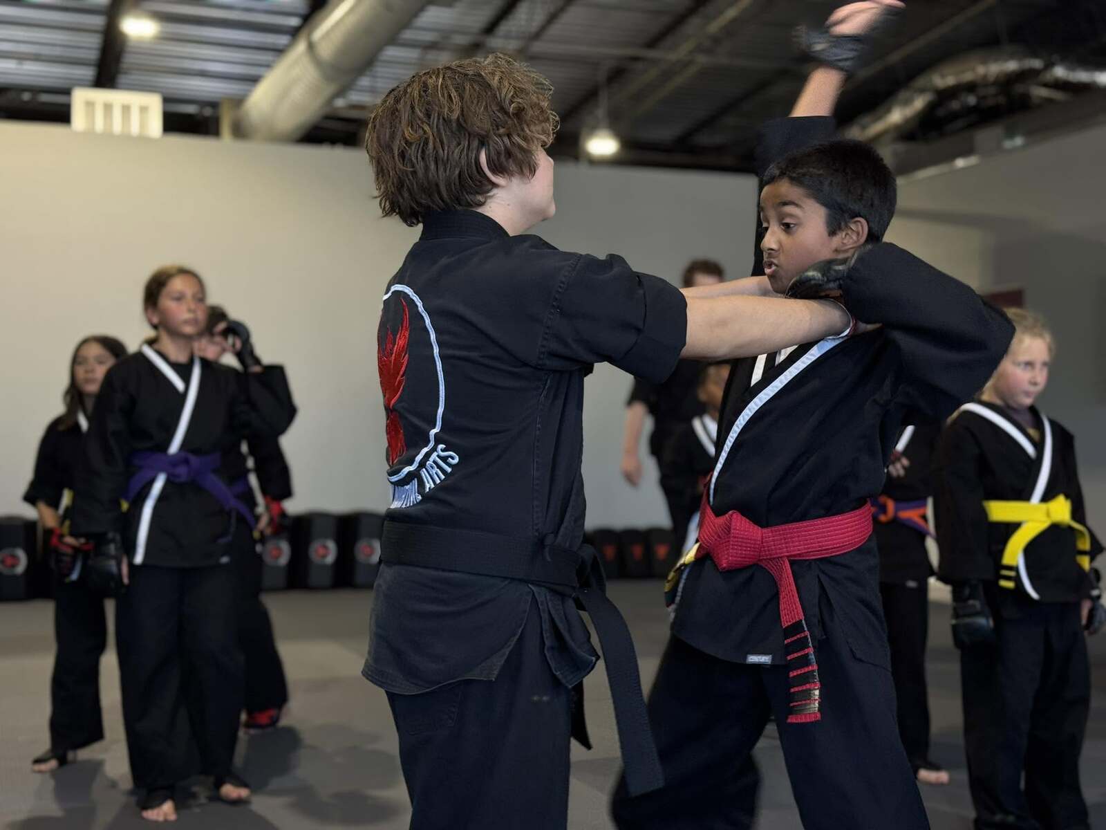 Main image of Rebirth Martial Arts
