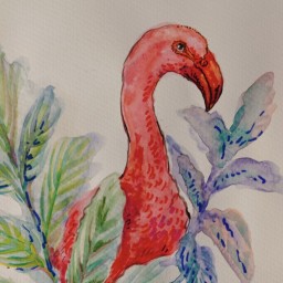 Main image of Red Bird Gym