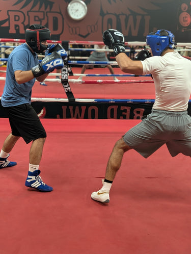 Red Owl Boxing X Scarberian Boxing Club academy image