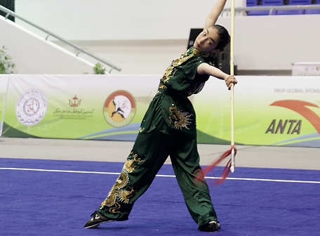 Main image of Red Panda Wushu