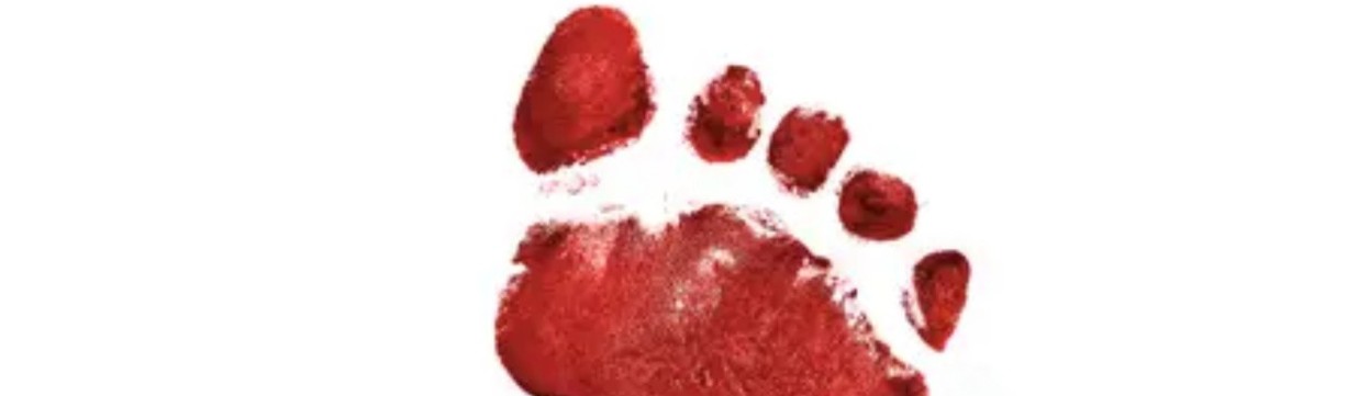 Main image of Redfoot MMA
