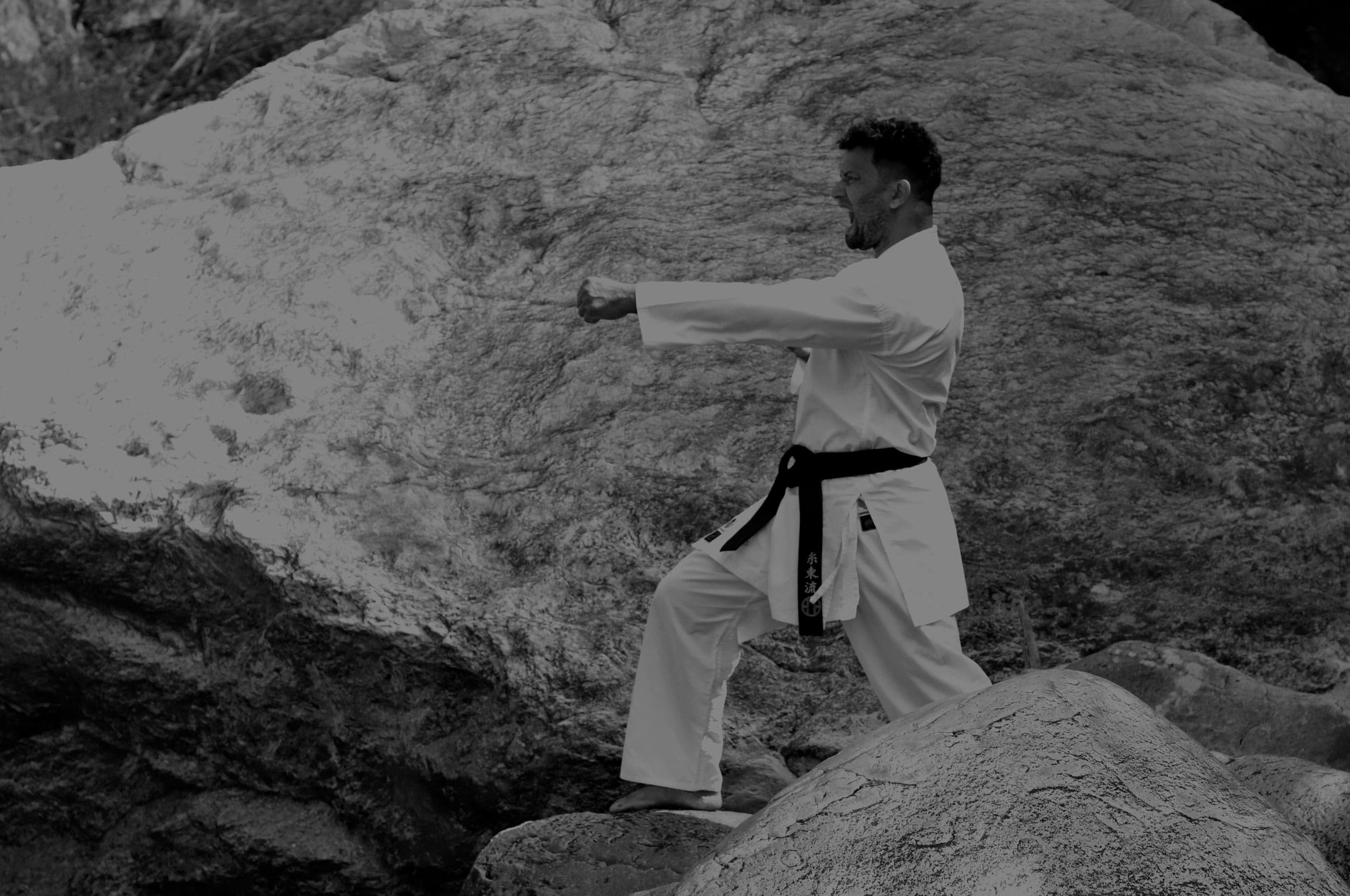 Main image of Reginaldo Karate