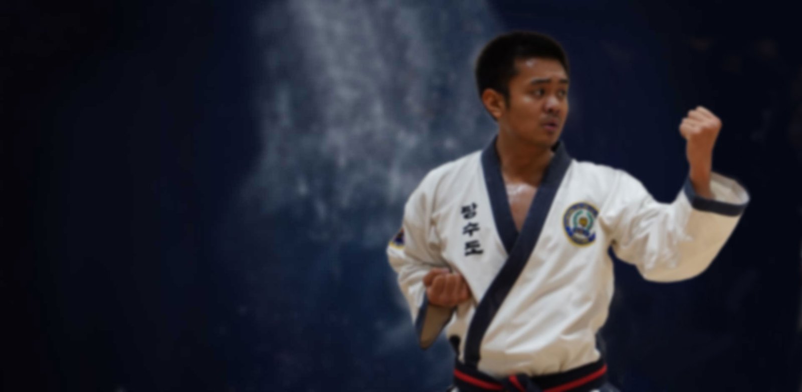 Main image of Region 3 - Tang Soo Do