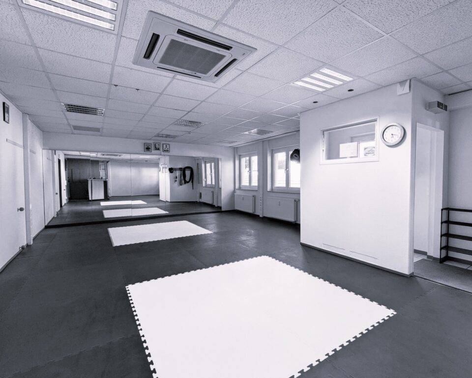 Main image of REMAC Kampfkunstakademie Merkstein