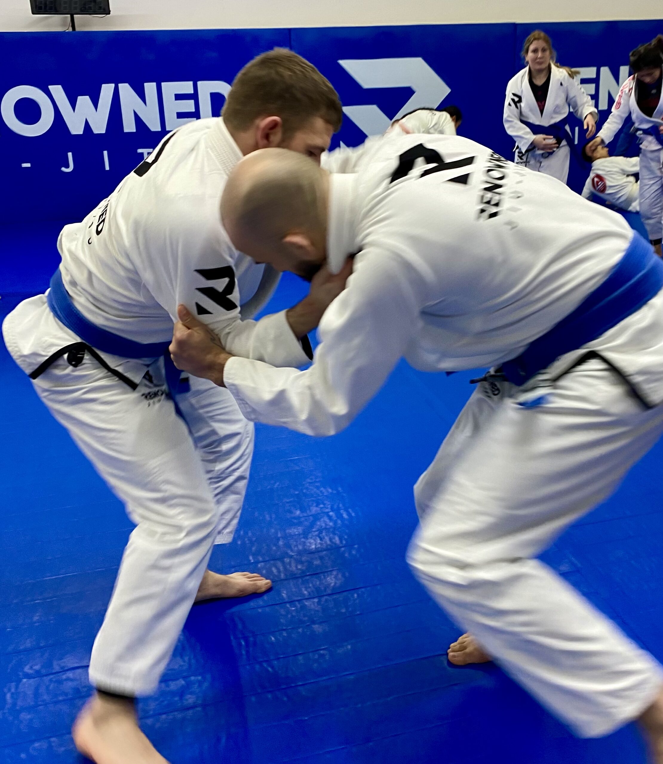 Main image of Renowned Jiu Jitsu York