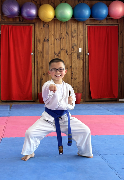 Main image of Rensei Karate Australia