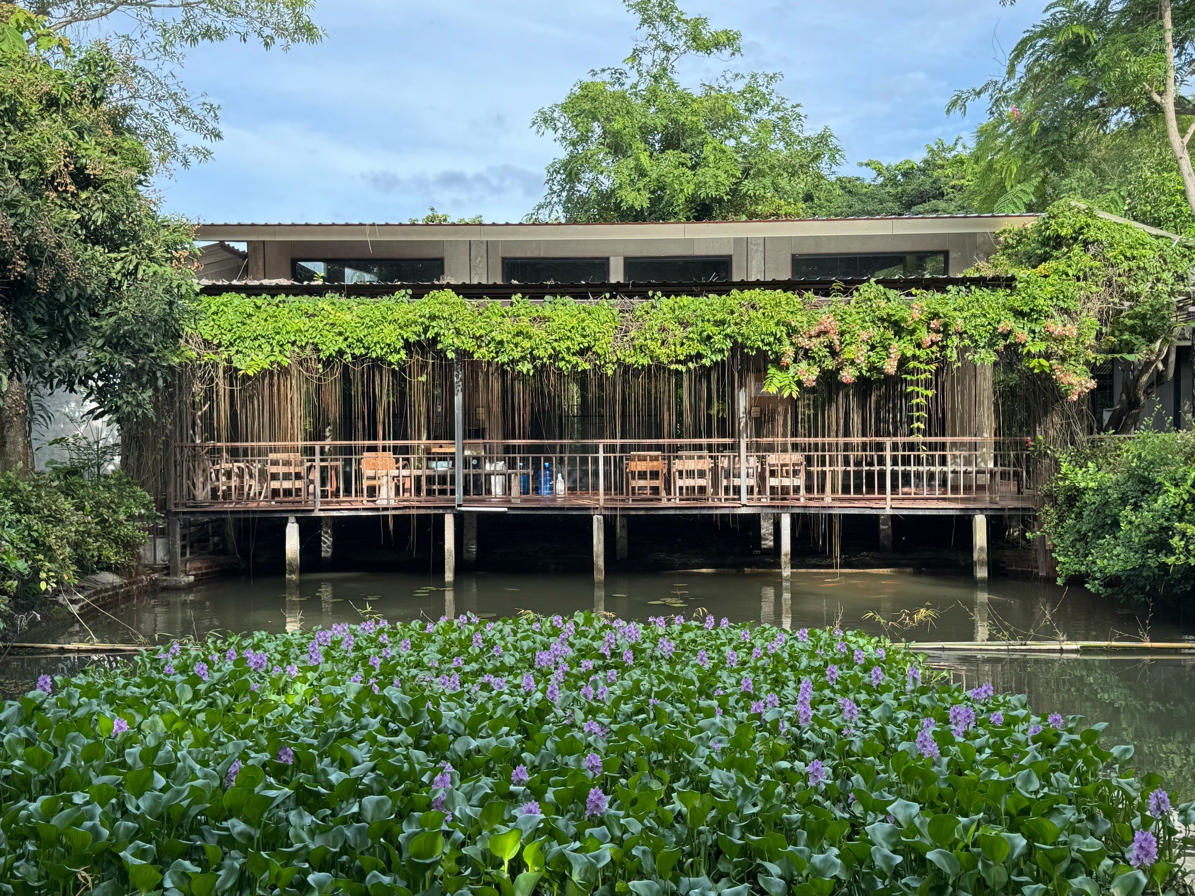 Main image of RenShinKan Dojo
