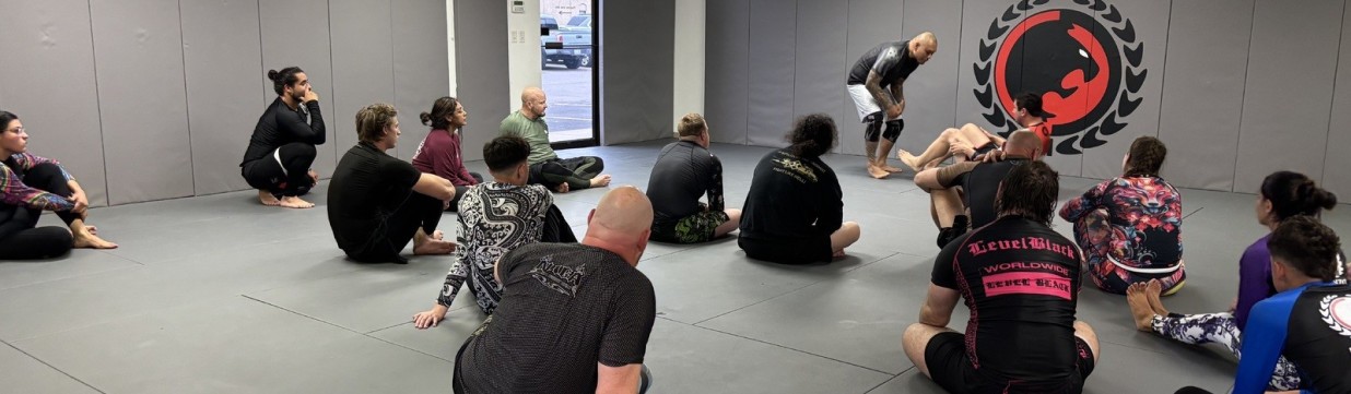 Main image of Renzo Gracie Colorado East BJJ