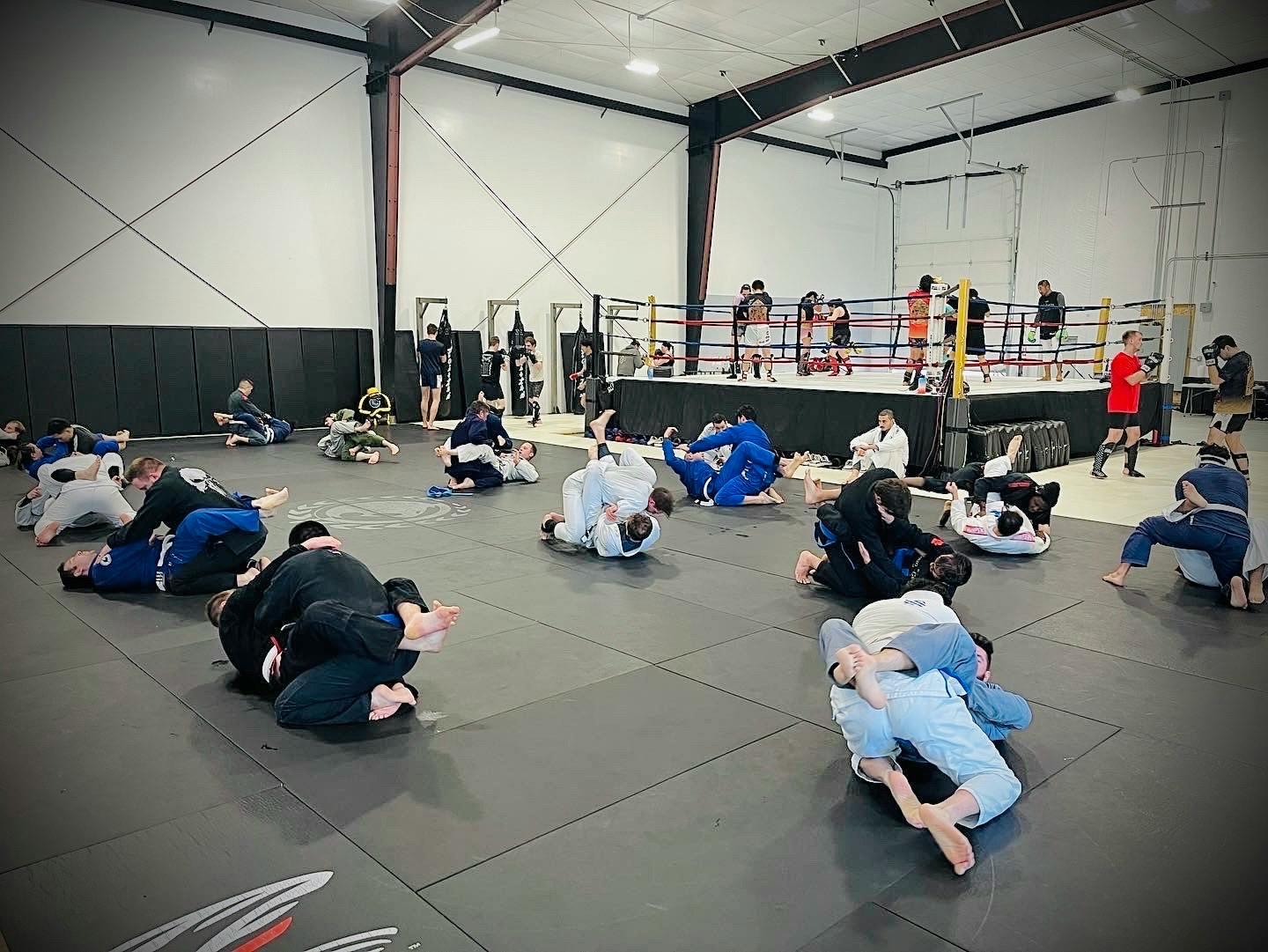 Main image of Renzo Gracie Jiu-Jitsu Seattle