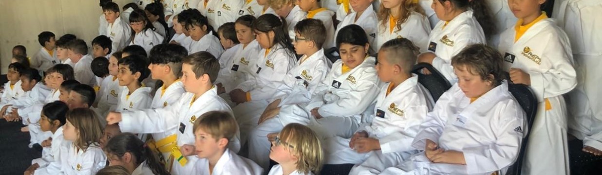 Main image of REPS Taekwondo Academy