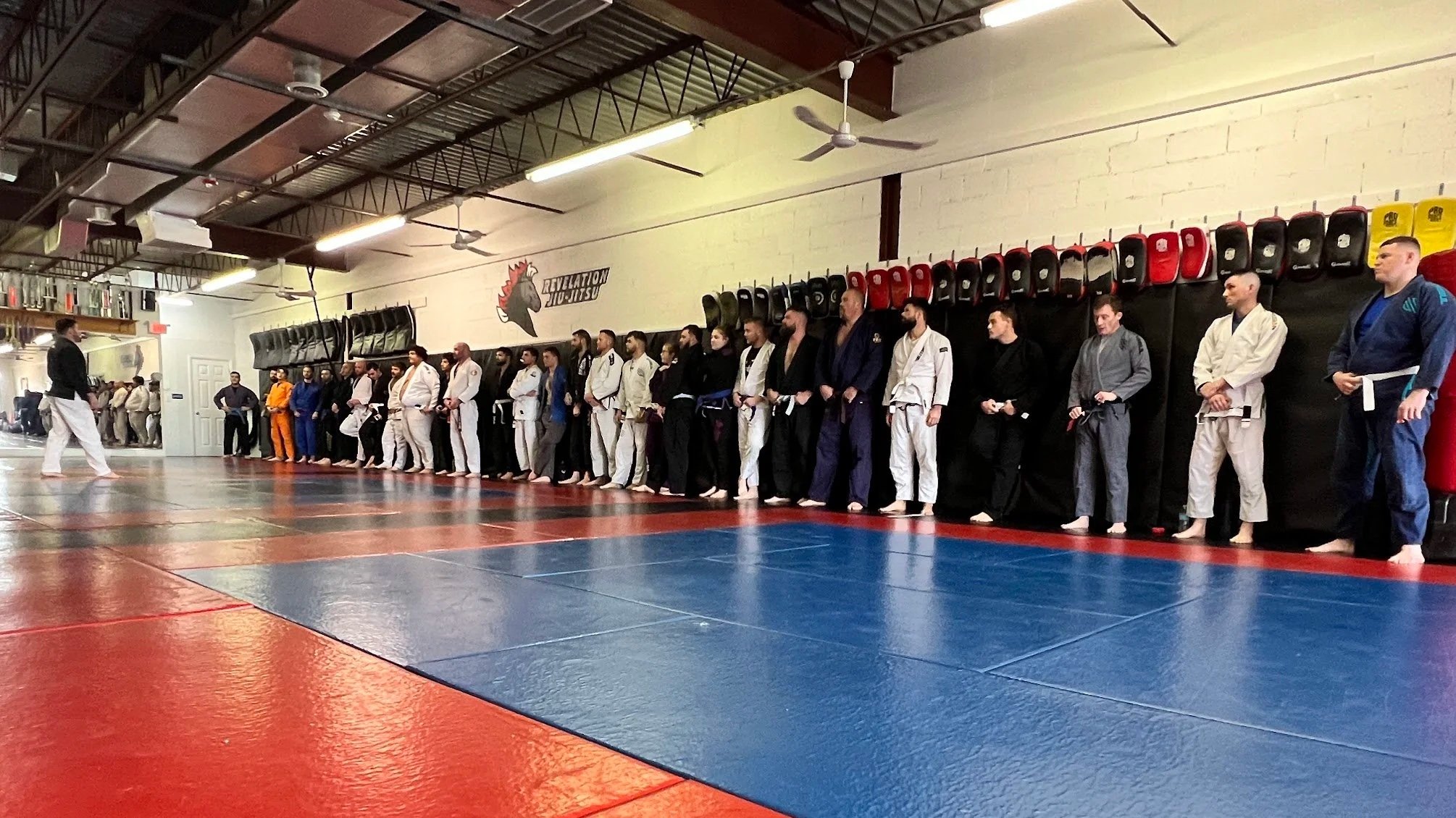 Main image of Revelation Jiu-Jitsu