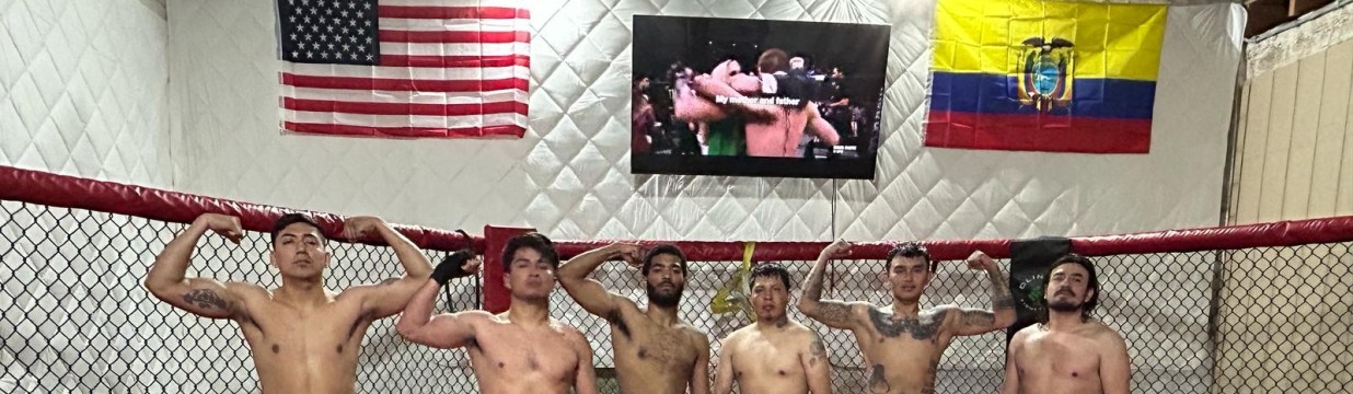 Main image of Revelo mma