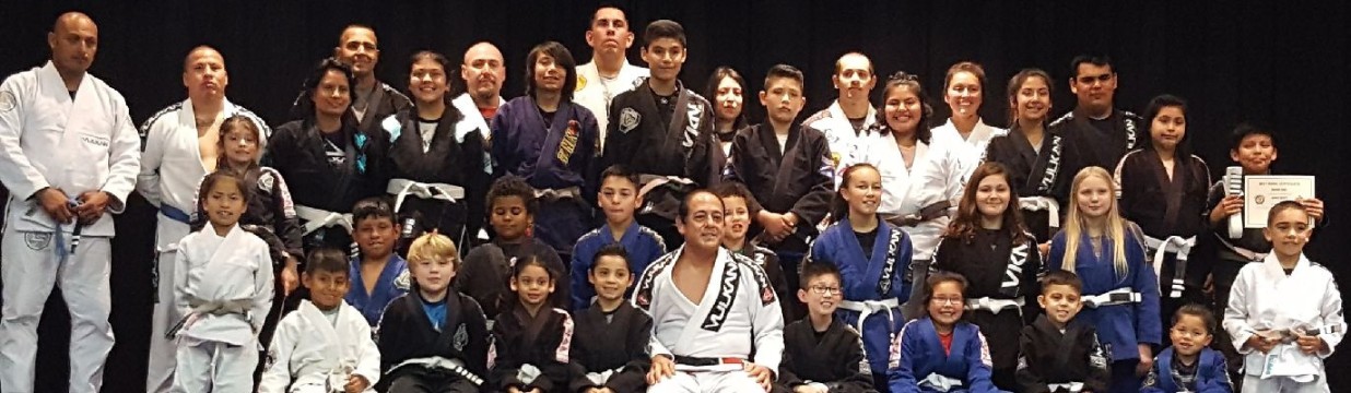 Main image of Revolution Jiu-Jitsu