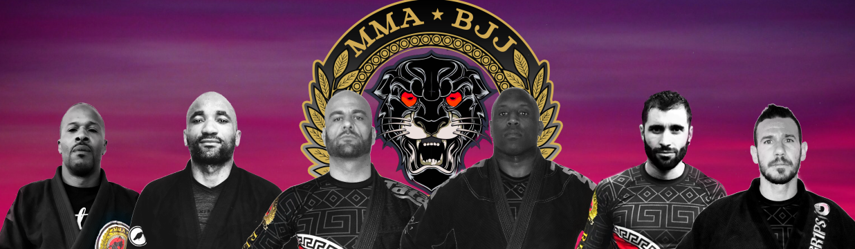 Main image of REVOLUTION LUDUS
