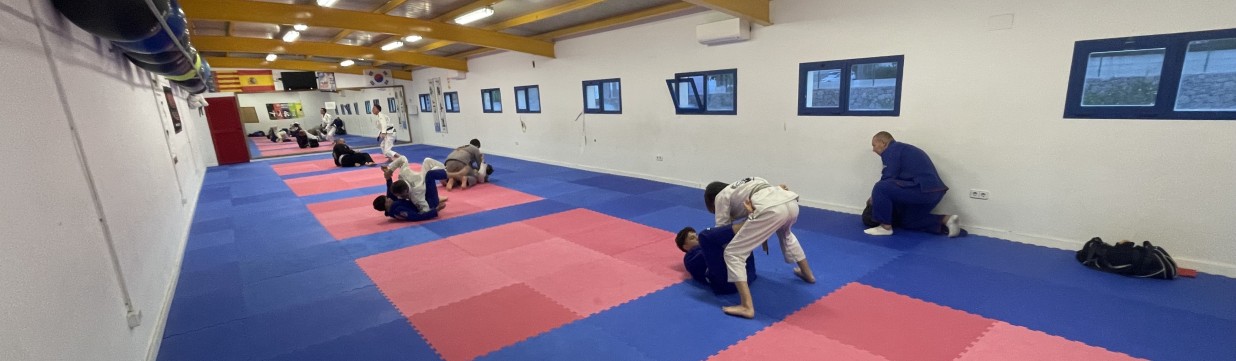 Main image of Reyson Gracie Spain