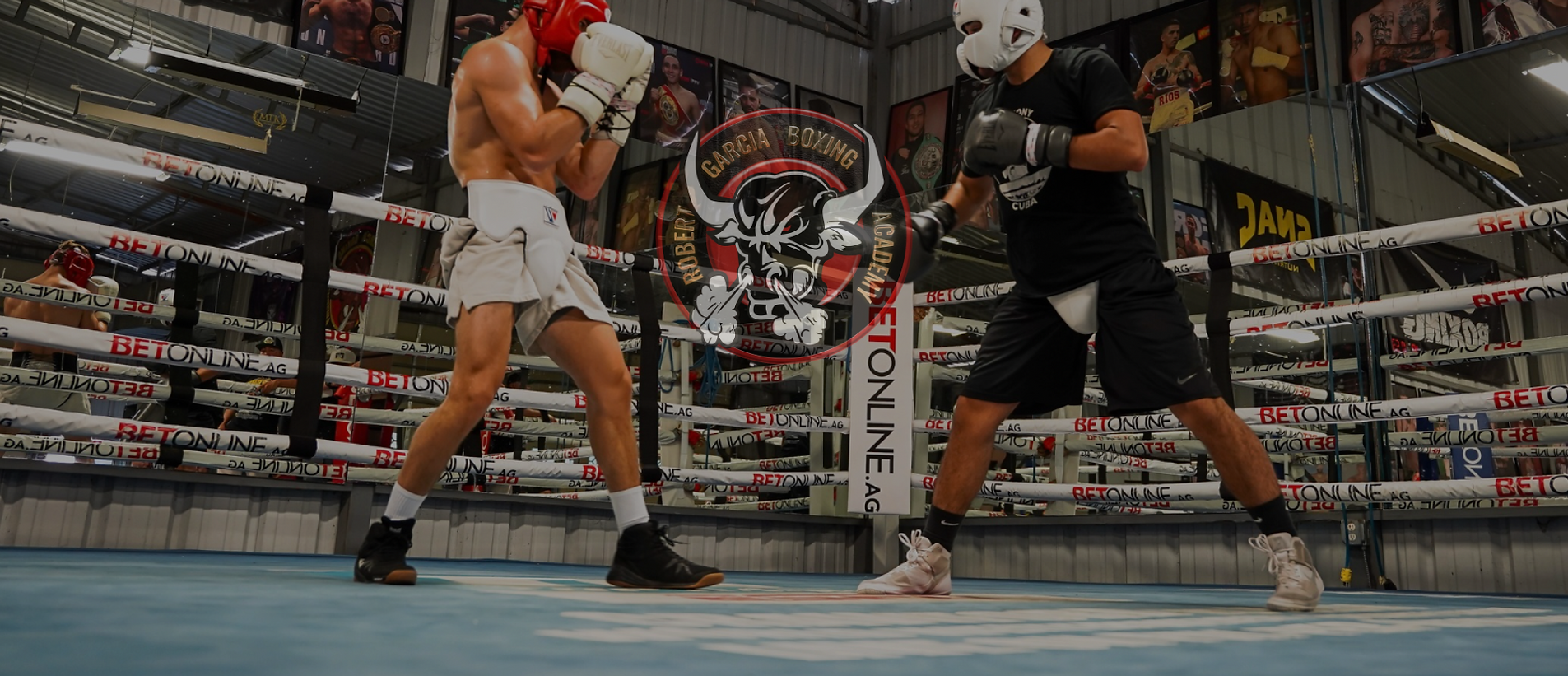 RGBA PRO