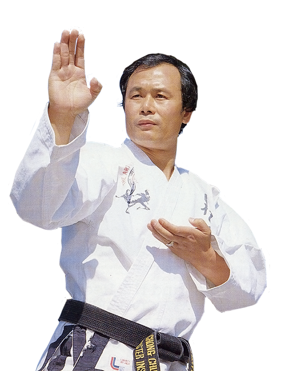 Main image of Rhee Taekwondo Narangba