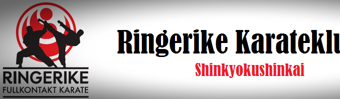 Main image of Ringerike karateklubb