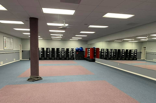 Main image of Rise Martial Arts and Fitness