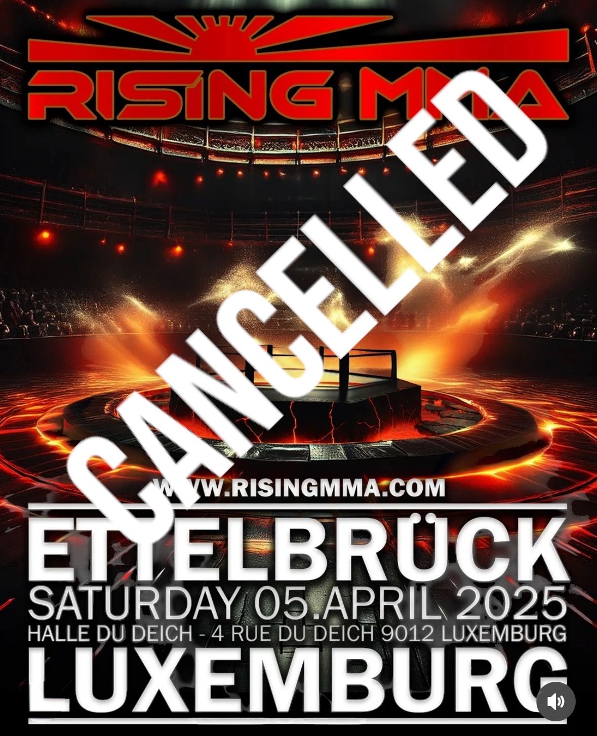 Main image of Rising MMA