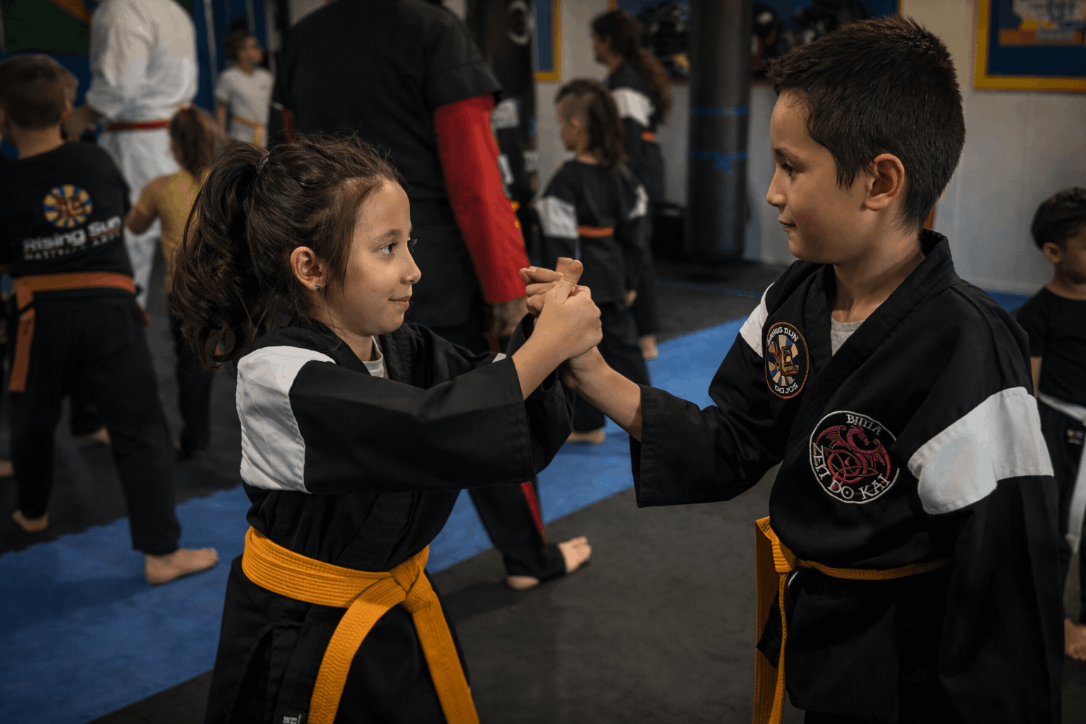 Main image of Rising Sun Martial Arts