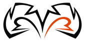 RIVAL BOXING GYM academy image