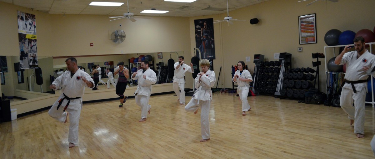 Main image of River Dragon Dojo