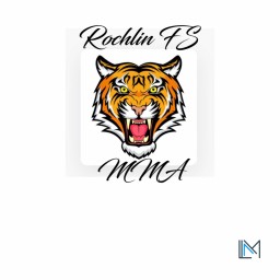 Main image of Rochlin FS MMA & Fitness