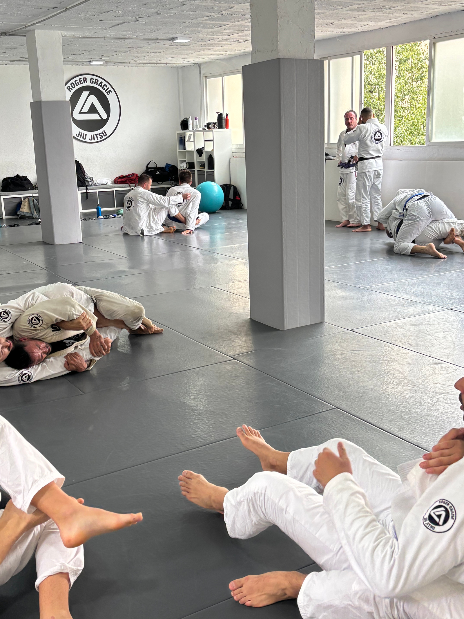 Main image of Roger Gracie Malaga