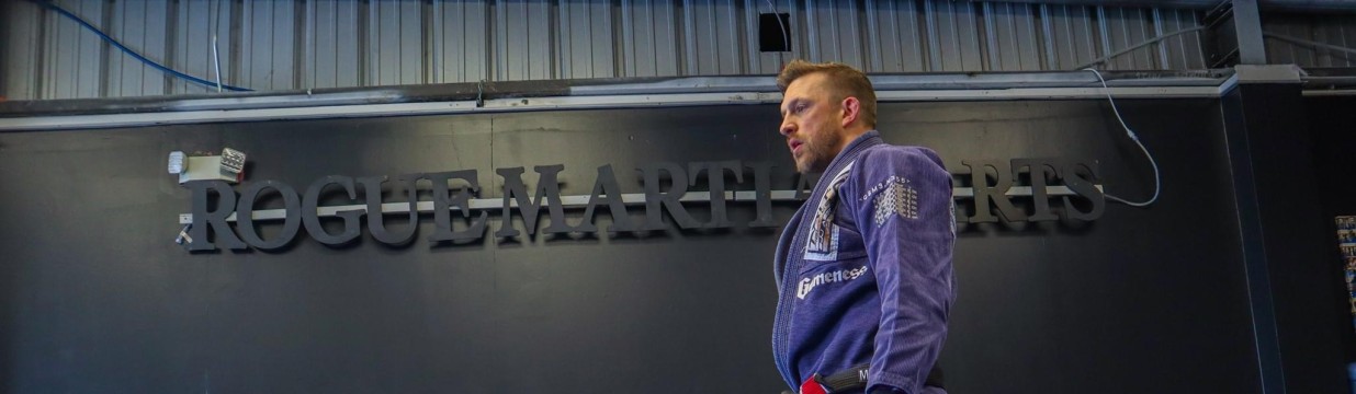 Main image of Rogue Martial Arts