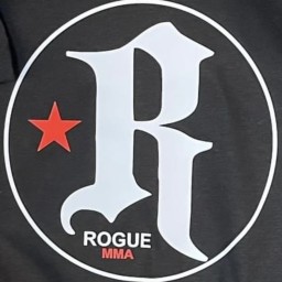 Main image of Rogue mma north bay