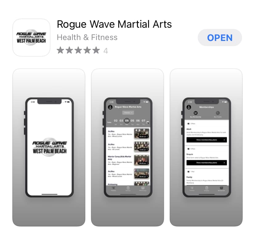 Rogue Wave Martial Arts