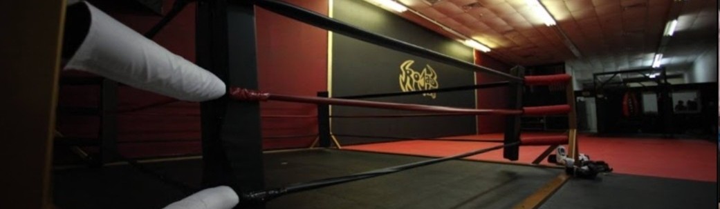 Main image of Rojas Muay Thai