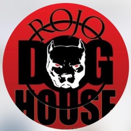 Main image of Roll Dogs Jiu Jitsu Academy