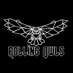 Main image of Rolling Owls