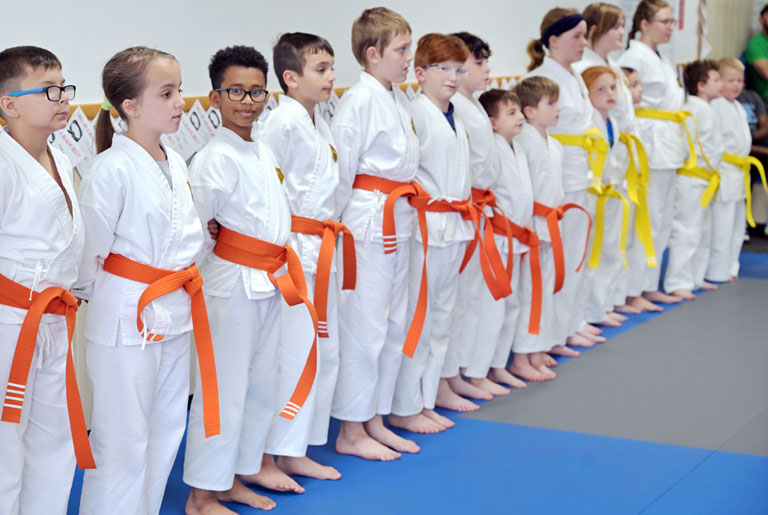 Main image of Romanelli's International Martial Arts