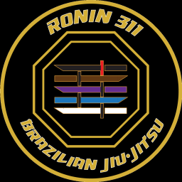Main image of Ronin 311
