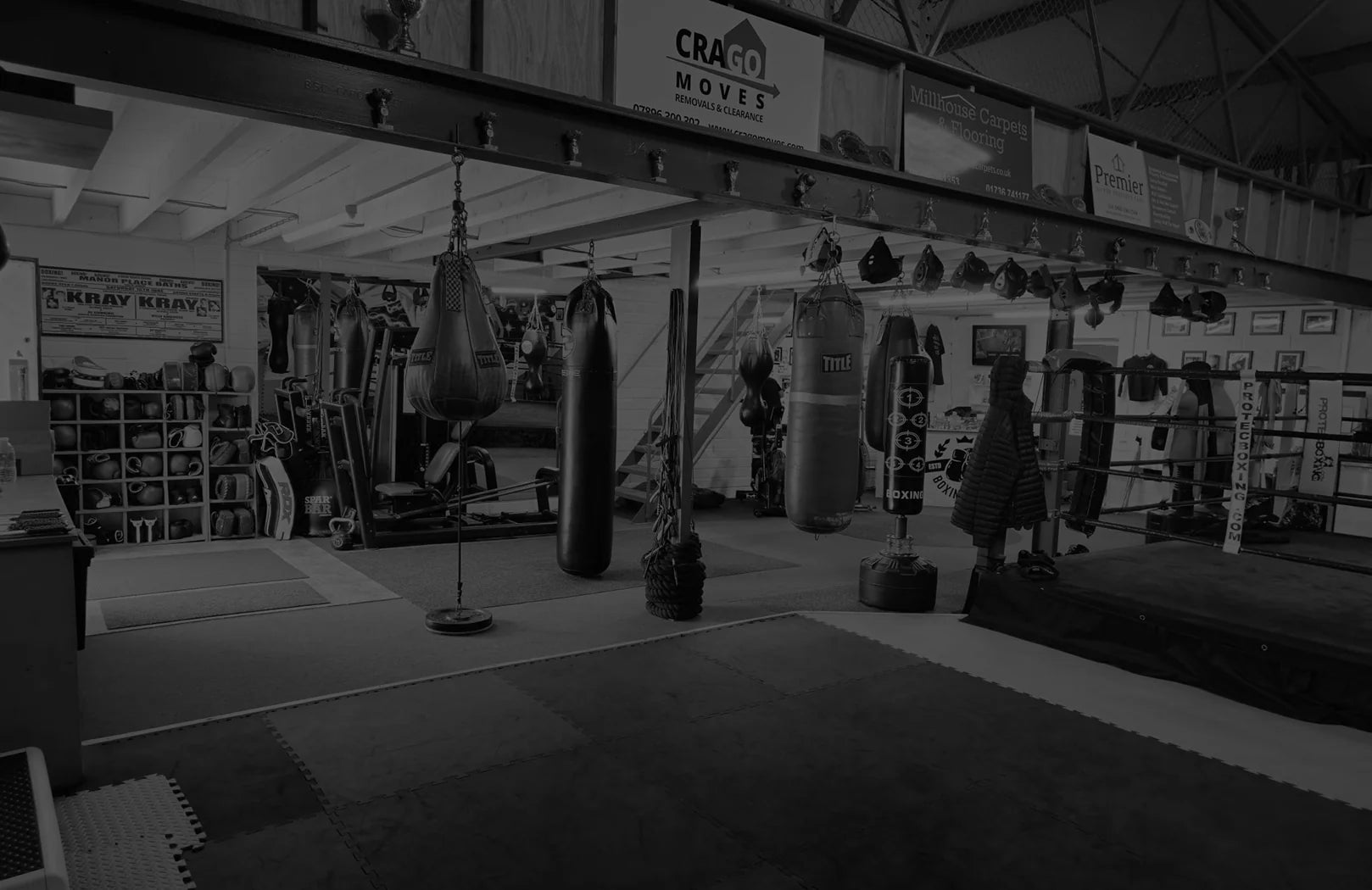 Main image of Ronin boxing