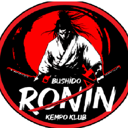 Main image of Ronin Kempo ZBK